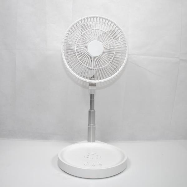 Hebronfan personalizou PrintedFan dobrável para América Japão Coreia do Sul