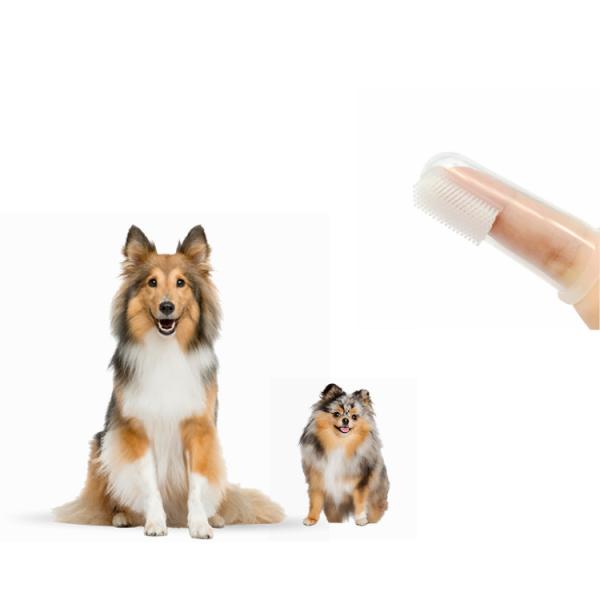 Manufacturers creative special good extra soft gum baby dog rubber silicone finger bristle toothbrush for pet