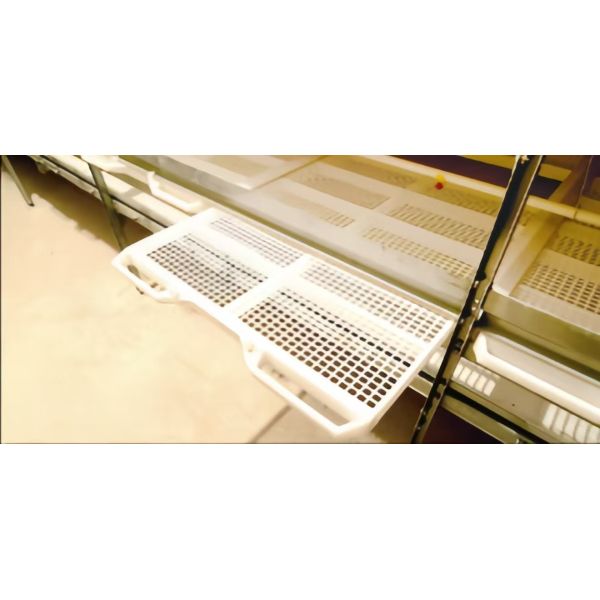 Equipo de cría de aves de corral automático de gallinas