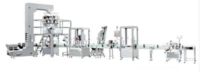10-2000g Full Automatic Granule Bottle Packing Machine 20-60 Bags/Min