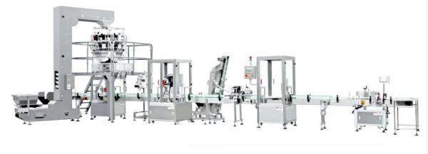 10-2000g Full Automatic Granule Bottle Packing Machine 20-60 Bags/Min