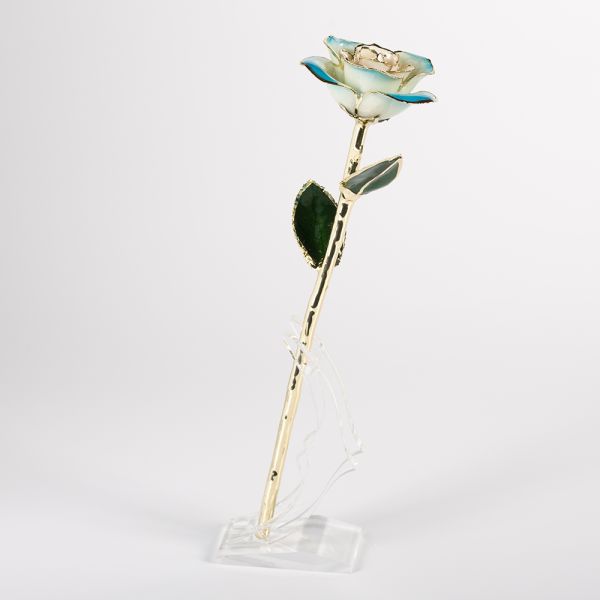 24k Gold Eternal Rose Flower Real Preserved Rose  Blue White Preserved Fresh Flower Preserved Gold Rose