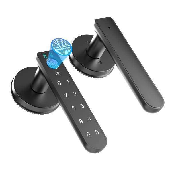 C02 Fingerprint Door Lock With Keypads, Passwords, Fingerprint Door Knob Keyless Entry Door Lock For Home/Office