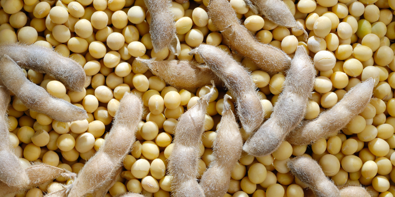 Аминокислоты аграрных удобрений списка OMRI ферментационные 85% вполне расстворимое в воде