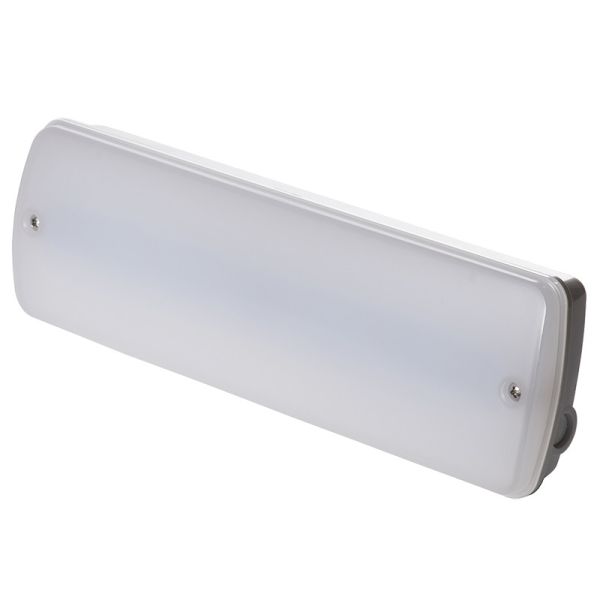 IP65 Waterproof Emergency Light 3W Maintained LED PC Cover Fireproof L121N