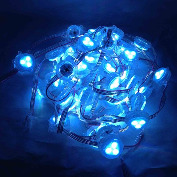 Реклама света пункта СИД фасоли 30мм СМД5050 ДК12В ИП67 чуда привела свет