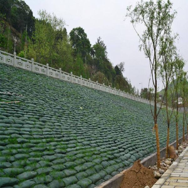Modern Design Flexible Ecological Slope Geobag with Environmentally Friendly Material