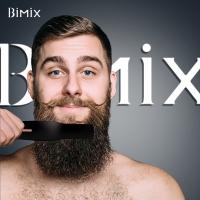 O PTC aqueceu a escova do Straightener da barba