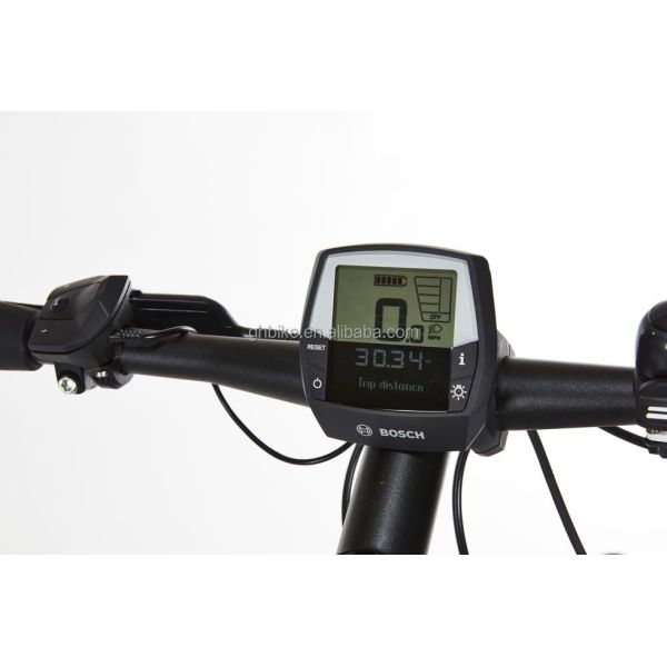 Bafang Central Motor 25KM/H 8.8AH Lithium Battery OEM CE Electric City Cargo Bicycle