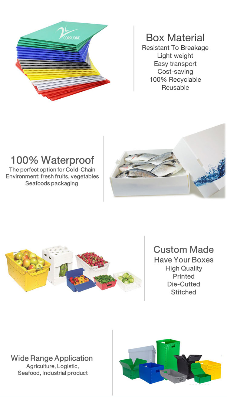 коробка Cartonplast манго 3.5mm рифленая гофрировала коробки для упаковки плода