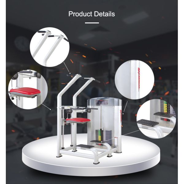 Sport Life Fitness Strength Gym Equipments Assist Dip Chin Exercise Machine