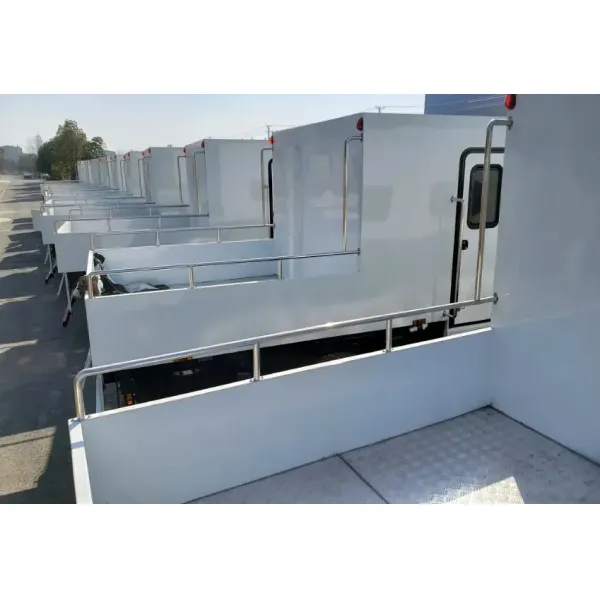 Versatile 4X2 Soldier Transfer Truck for Cross-Country Missions