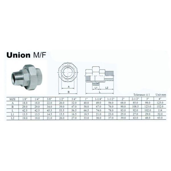 Stainless Steel Conical Seal Male and Female BSP Thread Unions