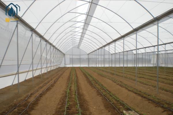 Invernadero moderno agrícola tropical multi-tramos de fácil instalación y bajo mantenimiento