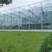 Serre chaude néerlandaise professionnelle en verre extérieure industrielle de Multispan en verre de serre chaude de fleur d'agriculture pour la plantation de fleur