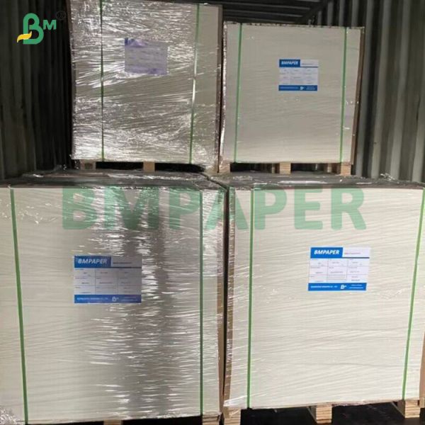 Food Grade FDA 240gsm Waterproof Bleached Cup Base Paper