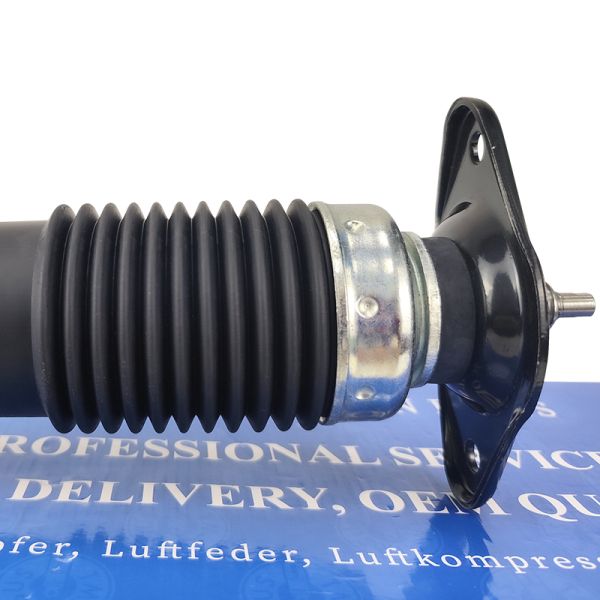 Rear Left Right Air Suspension Shock 22248832 Cadillac XLR CT5