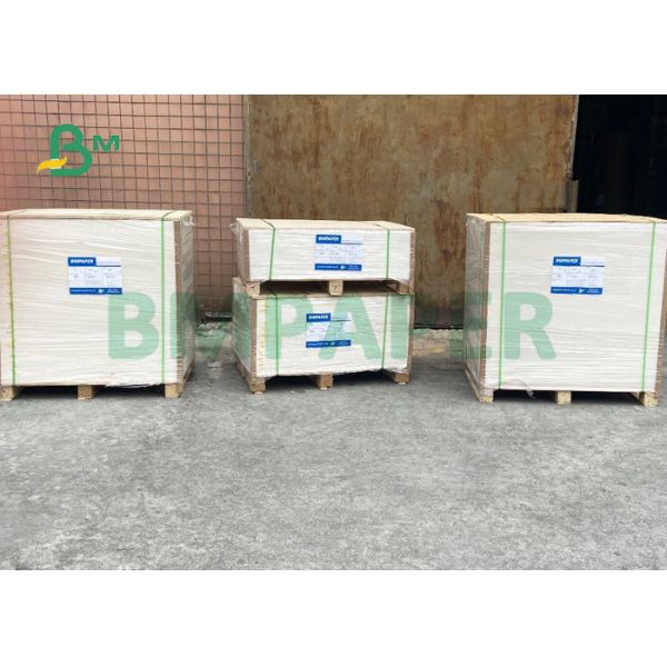 190gsm +15g PE Paper Cup Bottom Roll For Coffee Shop 2.95inches Waterproof