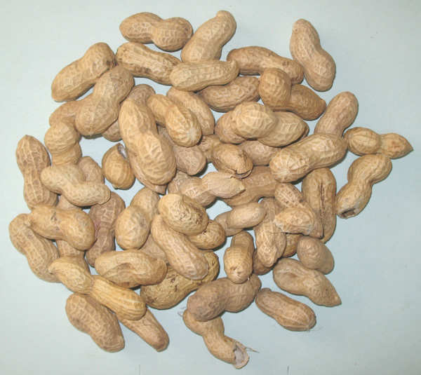 Stable Industrial Peanut Color Sorter Professional Peanut Color Sorting Machine