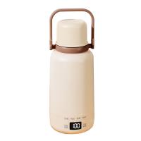 Coupe d'eau portable en acier inoxydable de 500W 304 avec affichage de température 600ml brun