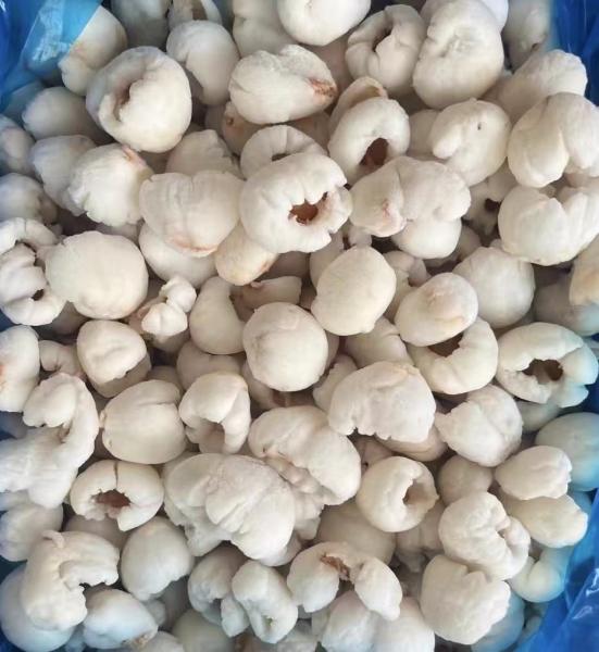Frozen Whole Peeled Lychee in Bulk Carton Packaging IQF Sweet Tasted Lichee Fruit with Mango Variety of Preserved Fruits