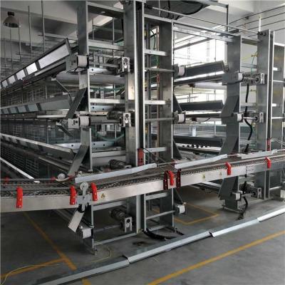 Electrostatic Spray Automatic Egg Collection System Turbine Gear Motor Driven