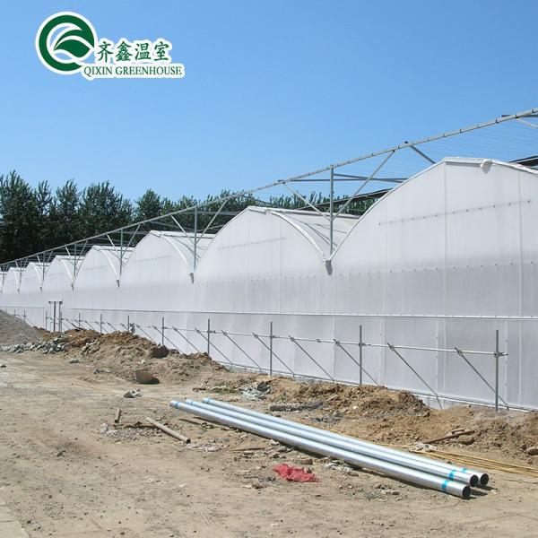 Double or Single Layer Multi-Span Agricultural Greenhouses for Customizable Farming