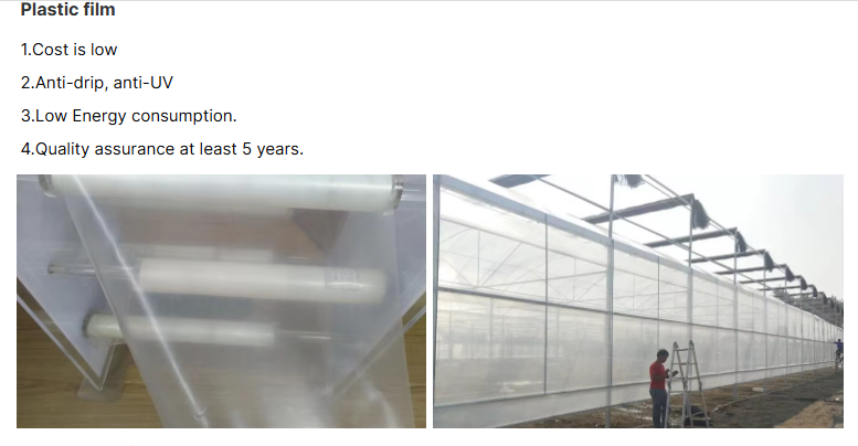 Taille commerciale Serre multispan Serre à protection UV