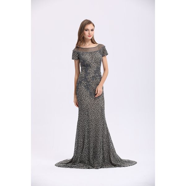 Women ' S Mermaid Elegant Long Sleeve Evening Dresses Lace V - Neck Dress For Party Gowns