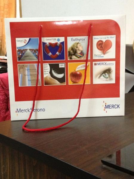 Printed Art Paper Material With Your Logo Paper Gift Tote Bag