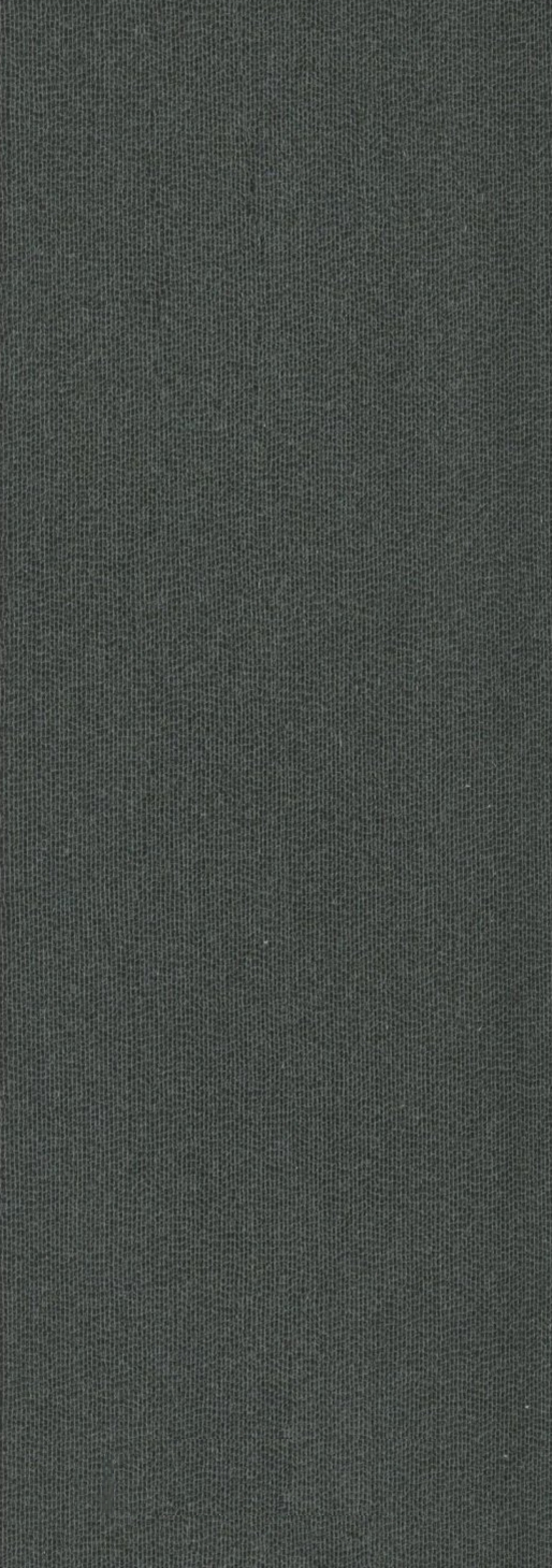 Черная кора, инженерный шпон, решетчатая текстура, современный дизайн деревянной двери 0,18-1,8 мм BBK-X2192
