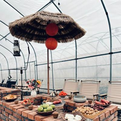 Steel Structure Large Advand Shading Greenhouse for Hydroponics Growingce Large Size