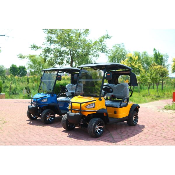 Chinese Yellow 2 Seater Electric Golf Cart Lead Acid Battery Lithium Battery Support Customized Color And LOGO