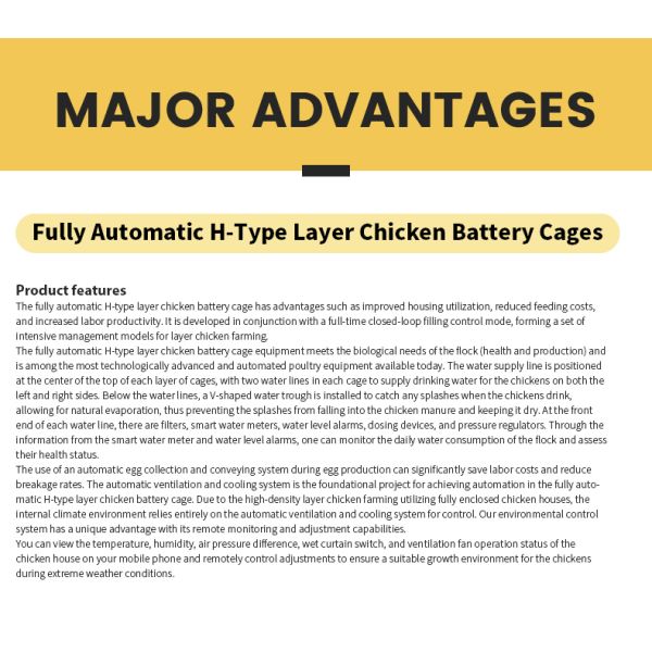 Hot Dip Galvanize Steel Automatic a Type Layer Poultry Farm Battery Chicken Cage for Chicken