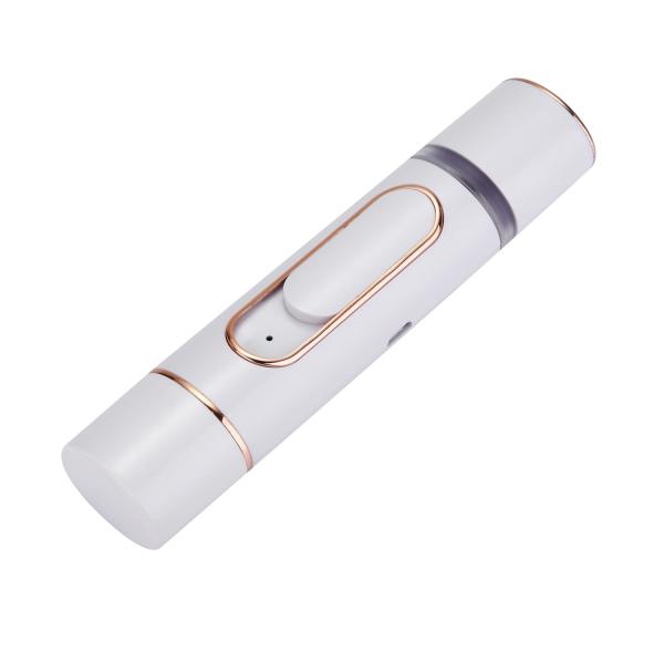 RF Facial Nano Sprayer Home Use Beauty Devices ABS Material Skin Rejuvenation Function