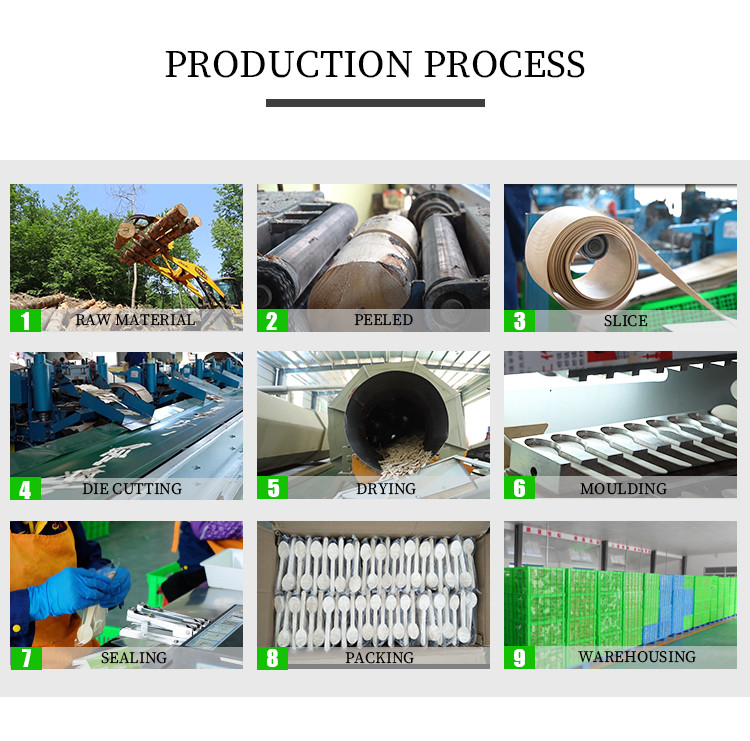 Набор вилки ножа естественного столового прибора Eco дружелюбного деревянного устранимого Biodegradable деревянный