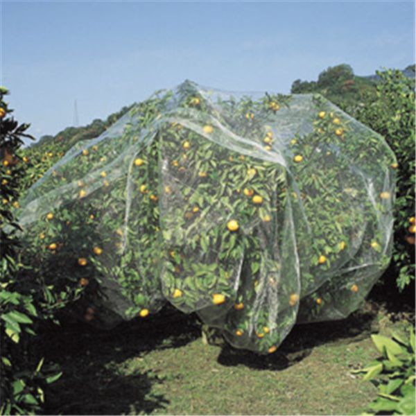 High Density Polyethylene Bird Netting For Plants / Fruit Trees Wrap Knitted Type