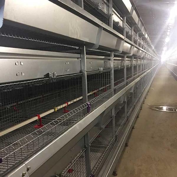 Fireproof Baby Chick Cage Automatic Drinking System Corrosion Resisting