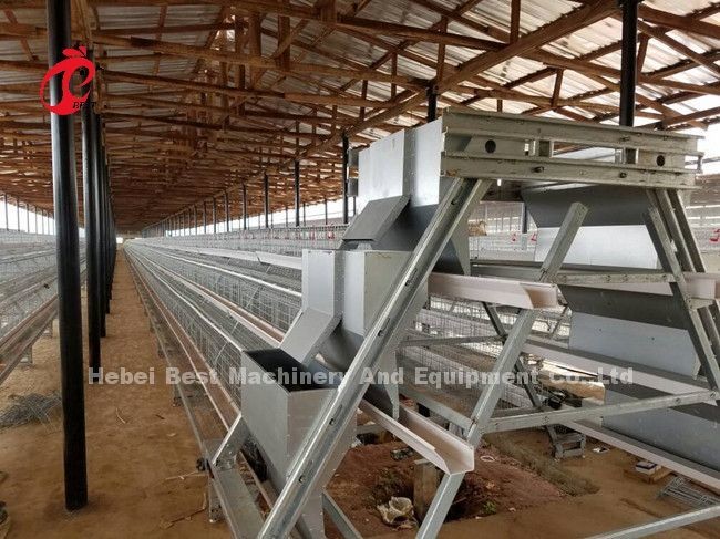 Полностью автоматизированная 20000 птиц типа A система птицеводческих клеток Эмили