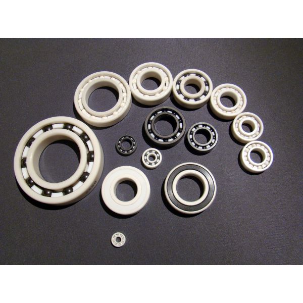 Hybrid Ceramic Bearings for Stainless Steel Application with High Efficiency and Customized Support