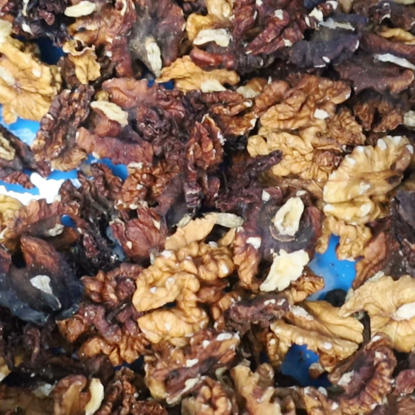 Quick walnut kernel sorting machine with 12 adaptive outlets and deep learning AI, separating 15 grades in one production pass at 560–720 kg/h