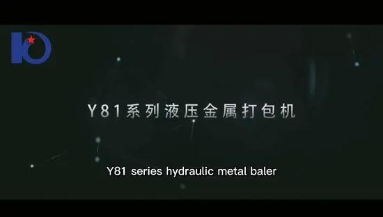 Y81F-160 Hydraulic Press Machine for Scrap Aluminum with 1600*1000*800mm Press Box and 300*300mm Bale Size