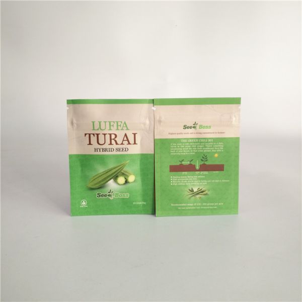 Custom Logo Packaging Bags Zip Lock Packaging Bag Snack Candy Dry Fruit three side sealed Pouch