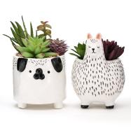 Potes de flores de animais Potes de plantas suculentas Plantas de propagação de plantas personalizadas Plantador Plantador cerâmico