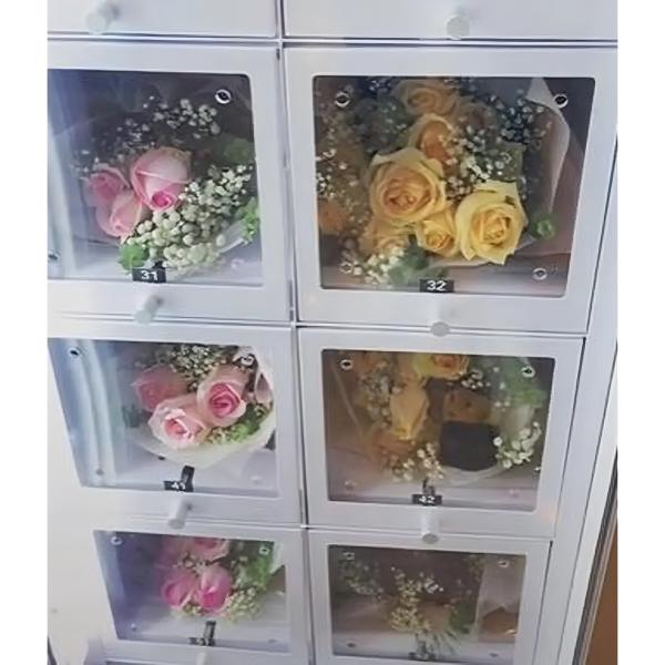 Máquina automática de arrefecimento de 24 horas por dia para flores frescas
