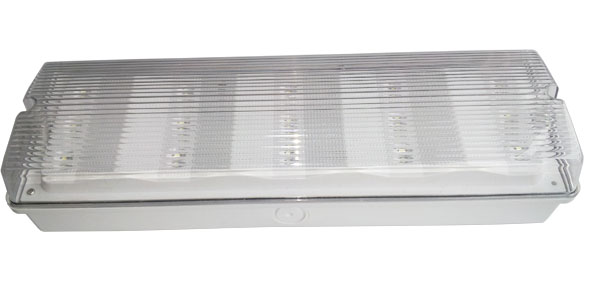 Non Maintained LED Emergency Light with Fire Retardant ABS Casing, IP65 Waterproof, and 3 Hours Duration