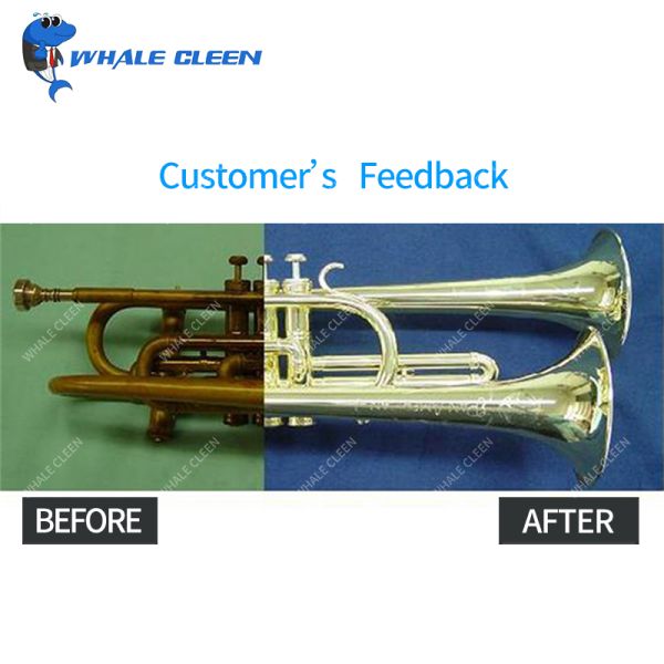 tanque 500x300x250mm da máquina 38L da limpeza ultrassônica de 3phases 220V para a trombeta