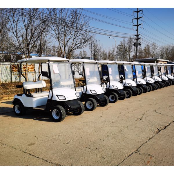 New Designed 2 Seater Golf Cart On Board Charging Origin Type CE Approved
