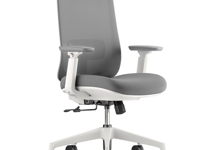 Otto Task Chair with Lumbar Support Adjustable Headrest and Armrests for