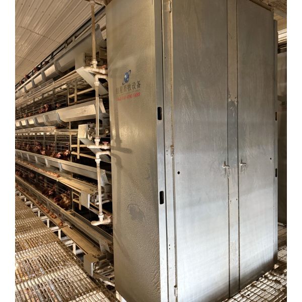 Durable Layer Chicken Cage for Poultry Farming Providing Optimal Space and Ventilation to Maximize Egg Production and Bird Health